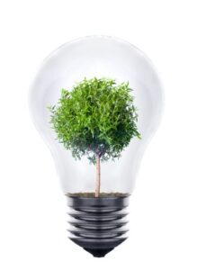Spark Life Executive and Personal Coaching