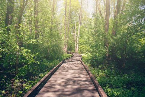 A journey to discover your authentic self