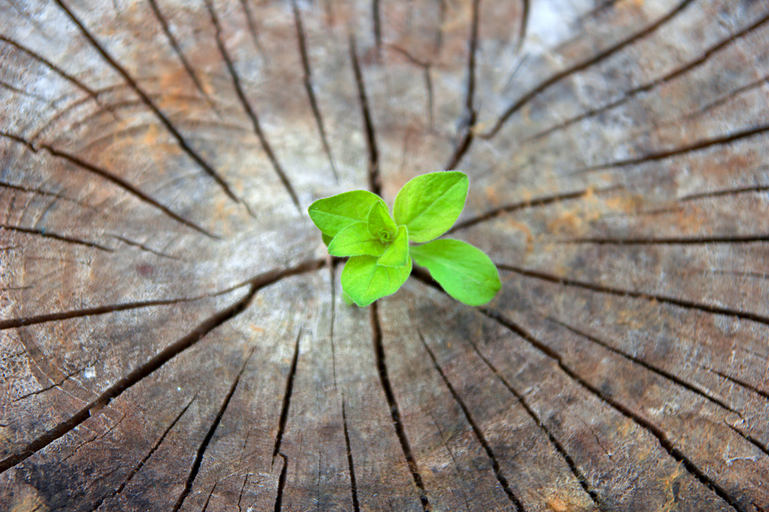 A journey to discover your authentic self